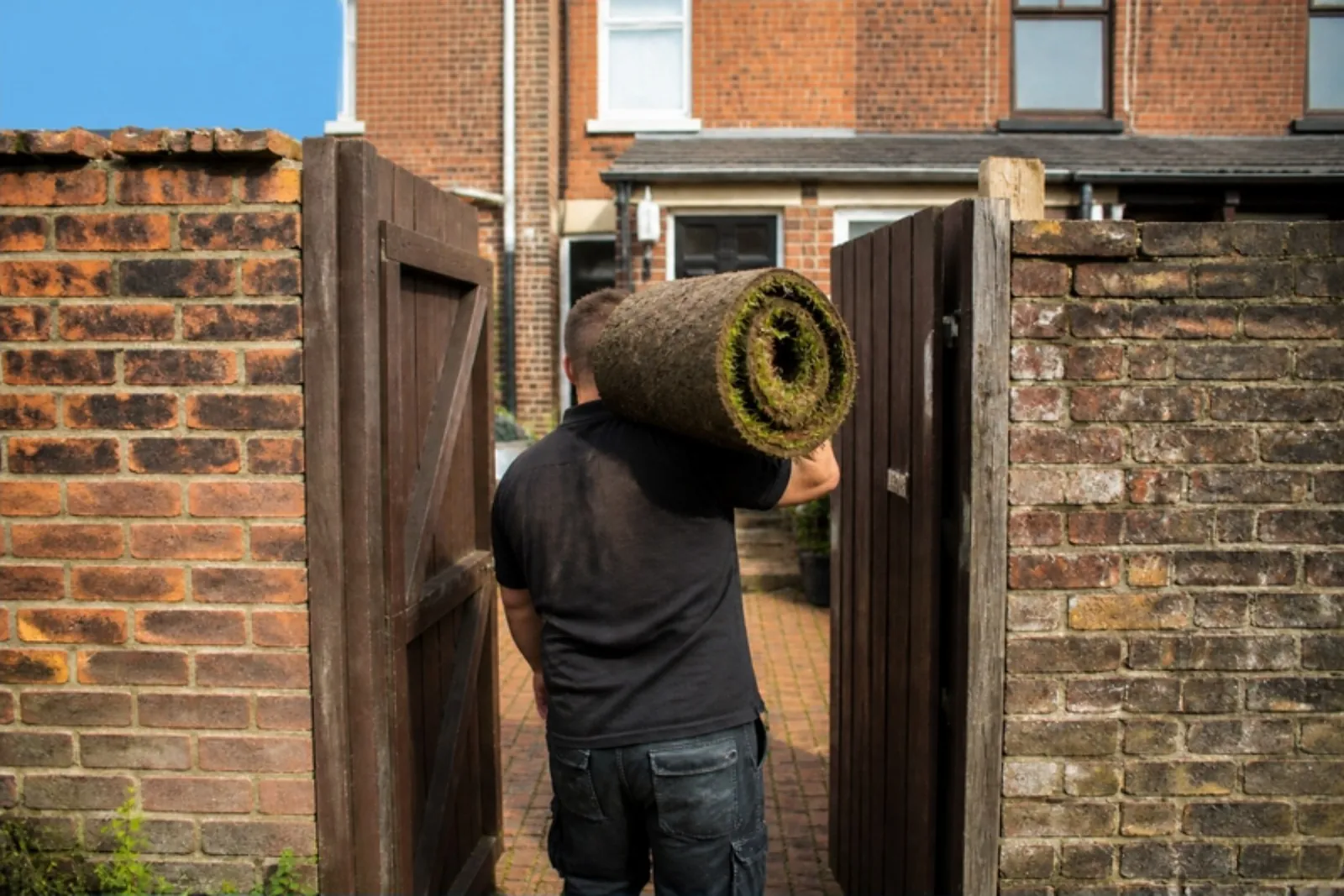 Person carrying a turf roll on one shoulder through a back-yard gate into a terraced house yard